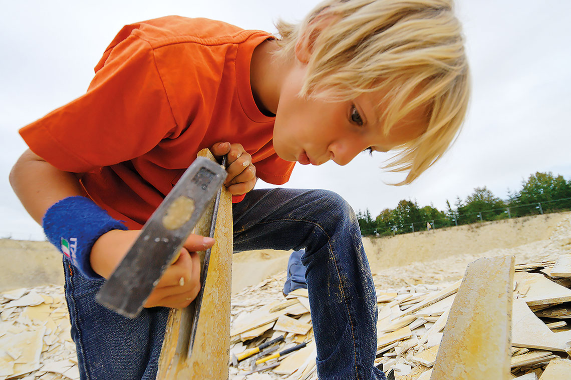 Fossiliensuche im Naturpark Altmühltal