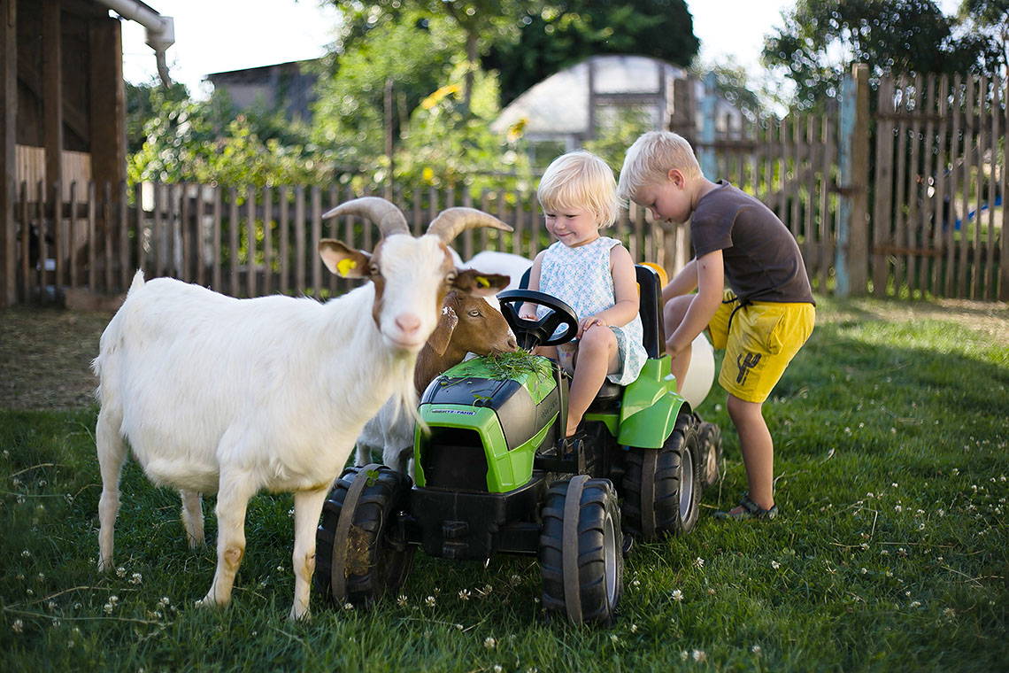 Tret-Traktor Tret-Traktor