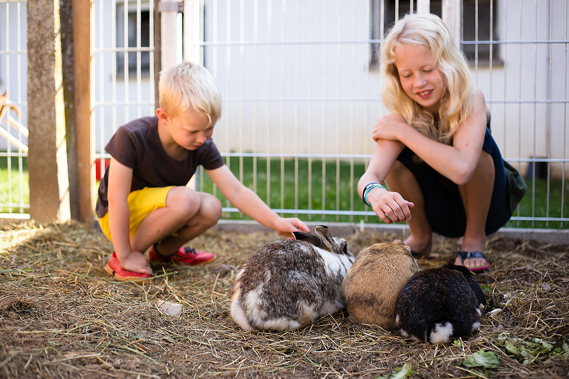Kinder streicheln Hasen Kinder streicheln Hasen